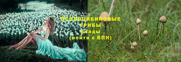 mdpv Заводоуковск