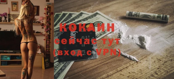 mdpv Заводоуковск