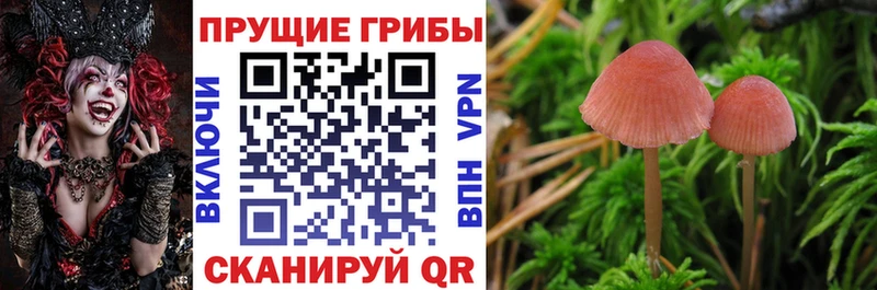 Псилоцибиновые грибы ЛСД Медногорск